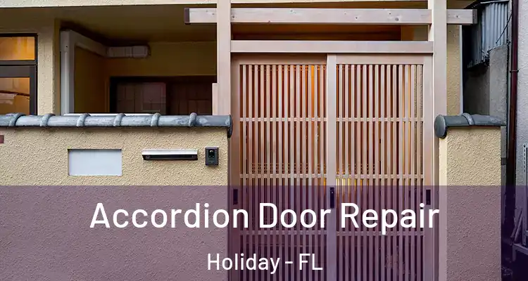 Accordion Door Repair Holiday - FL