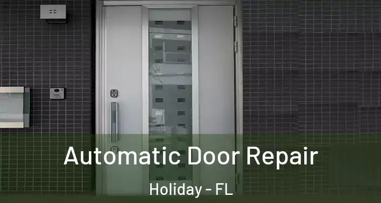 Automatic Door Repair Holiday - FL