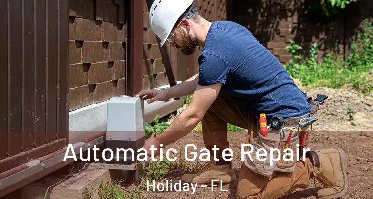 Automatic Gate Repair Holiday - FL