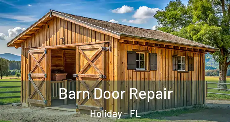 Barn Door Repair Holiday - FL