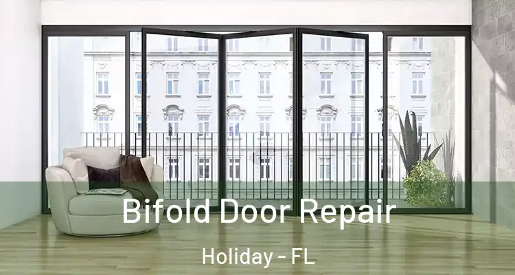 Bifold Door Repair Holiday - FL