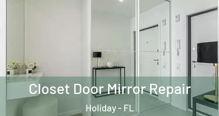 Closet Door Mirror Repair Holiday - FL