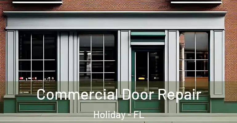 Commercial Door Repair Holiday - FL