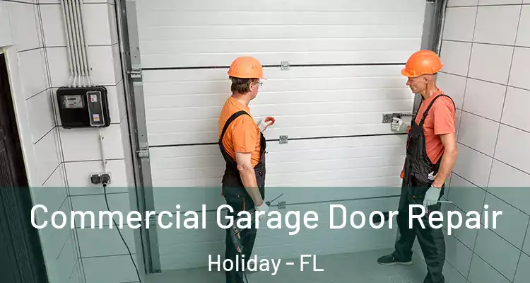 Commercial Garage Door Repair Holiday - FL