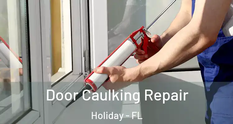Door Caulking Repair Holiday - FL