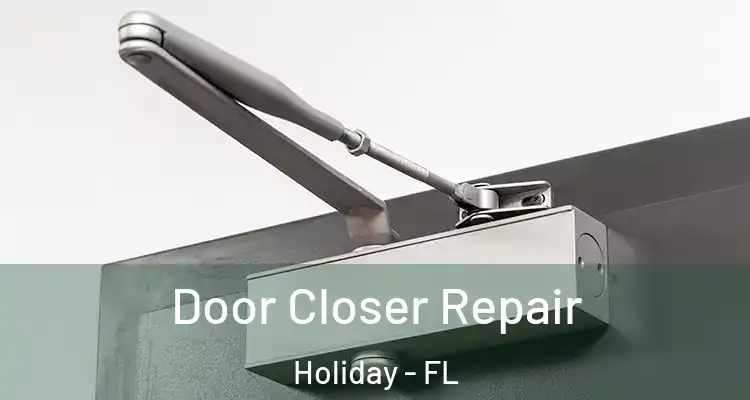 Door Closer Repair Holiday - FL
