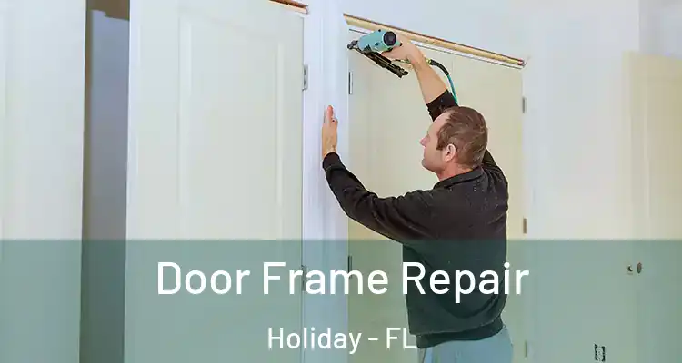 Door Frame Repair Holiday - FL