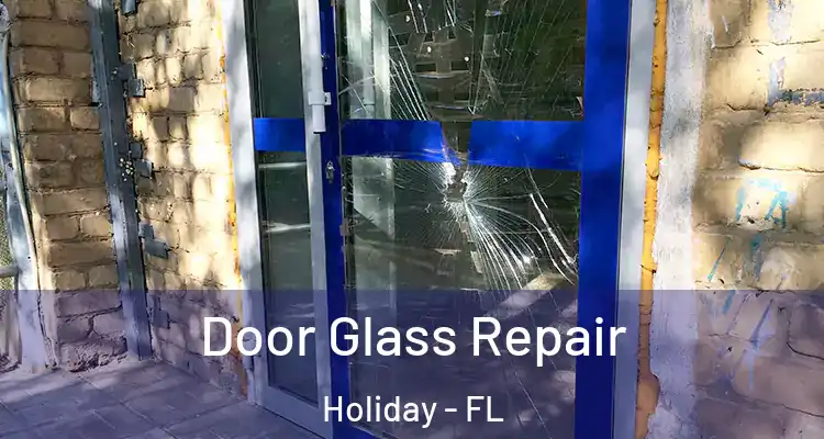 Door Glass Repair Holiday - FL