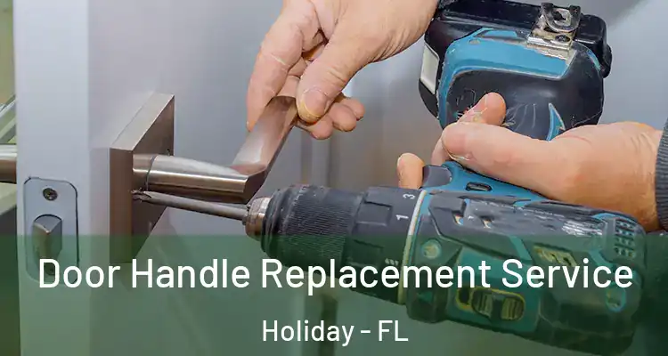 Door Handle Replacement Service Holiday - FL
