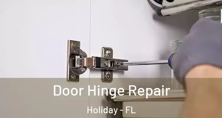 Door Hinge Repair Holiday - FL