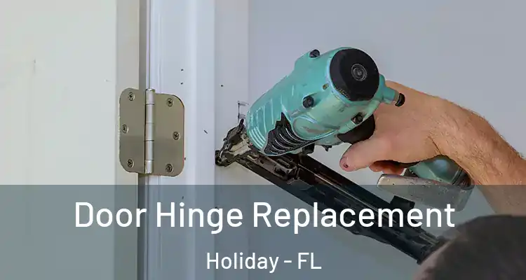 Door Hinge Replacement Holiday - FL