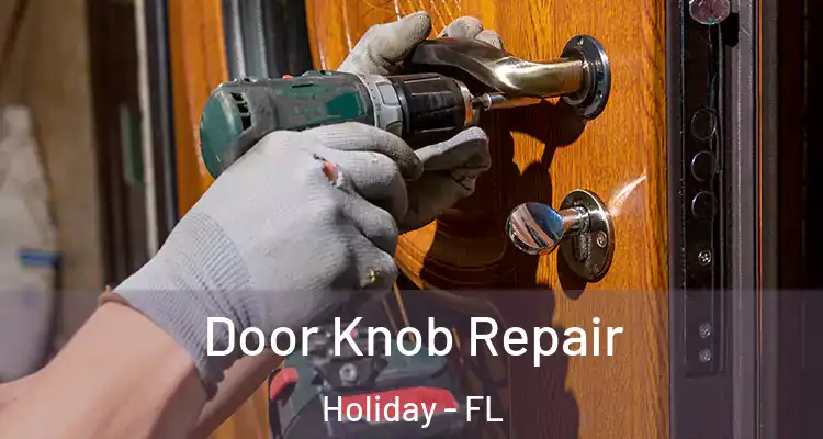 Door Knob Repair Holiday - FL