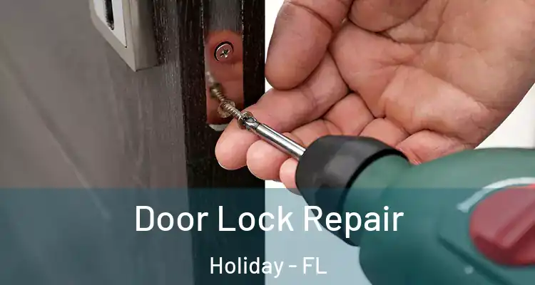 Door Lock Repair Holiday - FL