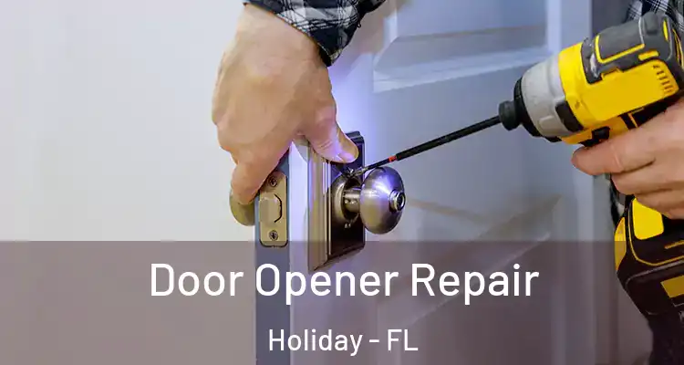 Door Opener Repair Holiday - FL