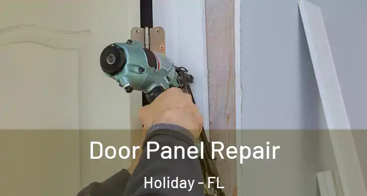 Door Panel Repair Holiday - FL