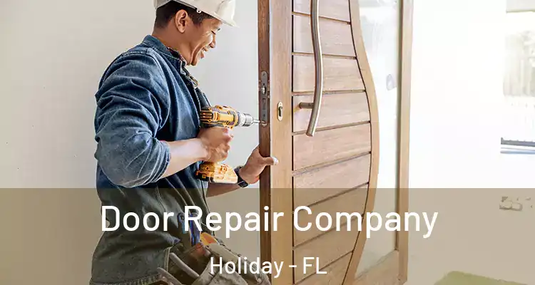 Door Repair Company Holiday - FL
