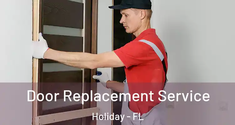 Door Replacement Service Holiday - FL