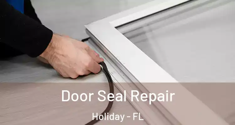 Door Seal Repair Holiday - FL
