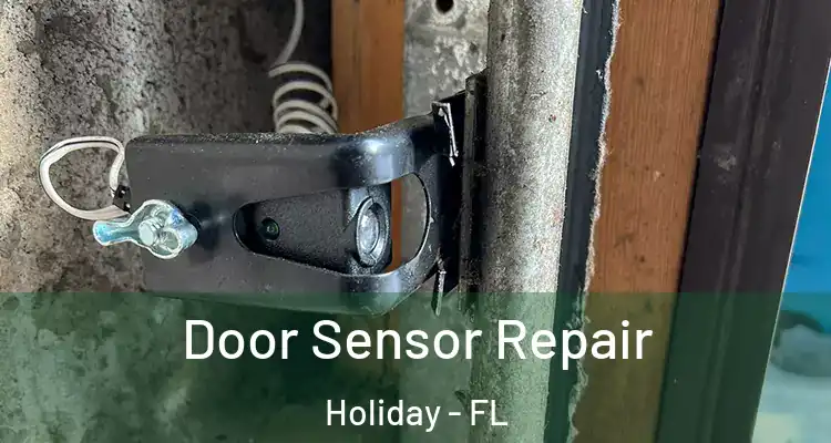 Door Sensor Repair Holiday - FL
