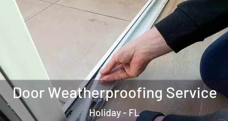 Door Weatherproofing Service Holiday - FL