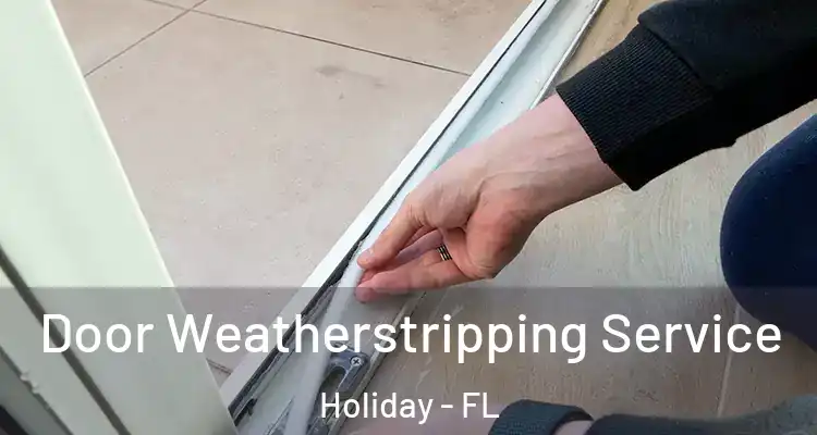 Door Weatherstripping Service Holiday - FL