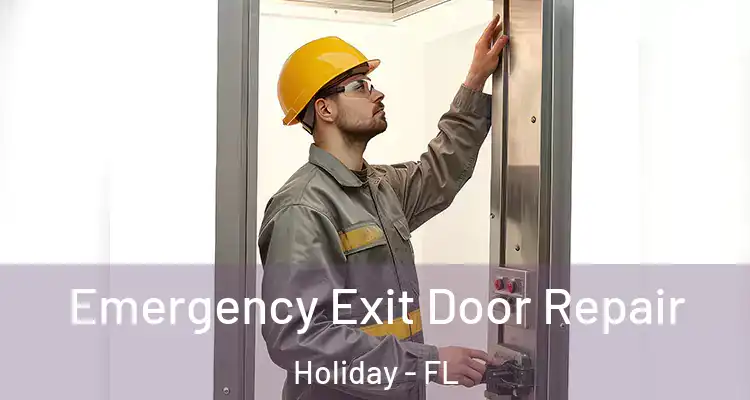 Emergency Exit Door Repair Holiday - FL