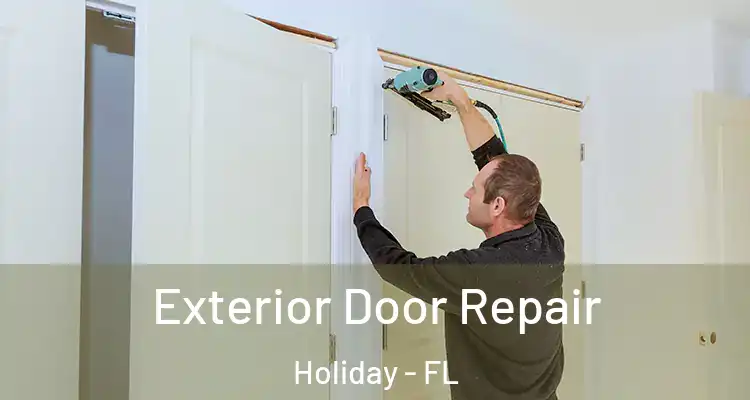 Exterior Door Repair Holiday - FL