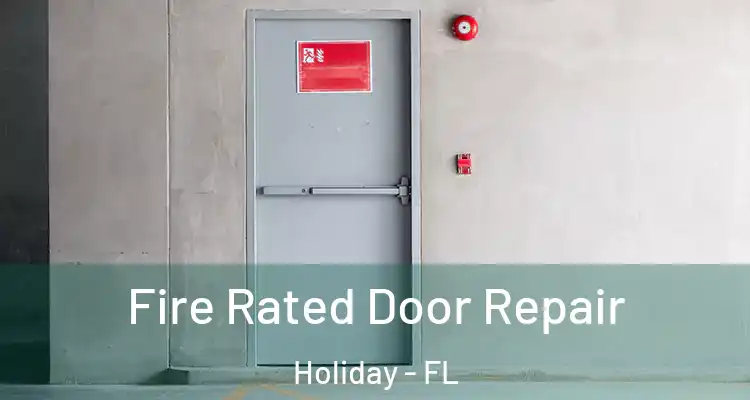 Fire Rated Door Repair Holiday - FL