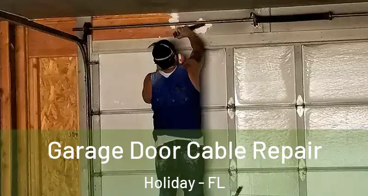 Garage Door Cable Repair Holiday - FL