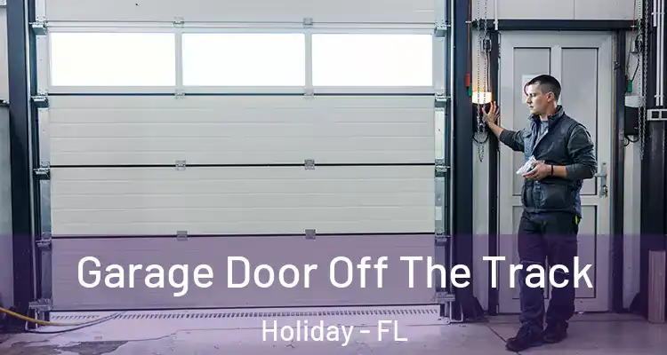 Garage Door Off The Track Holiday - FL