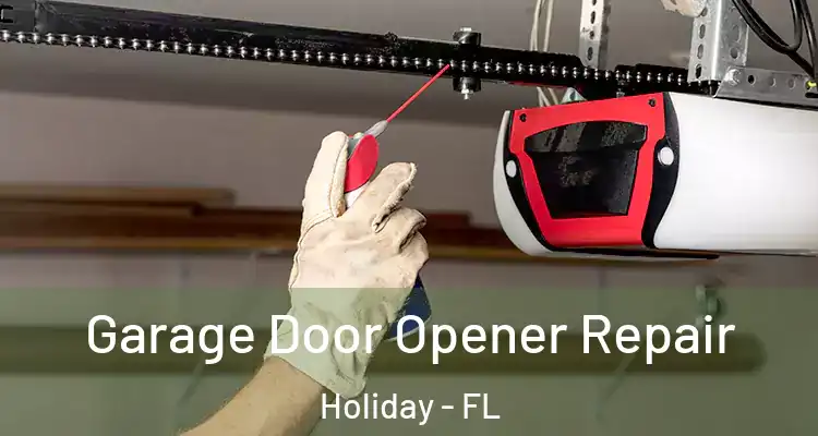Garage Door Opener Repair Holiday - FL