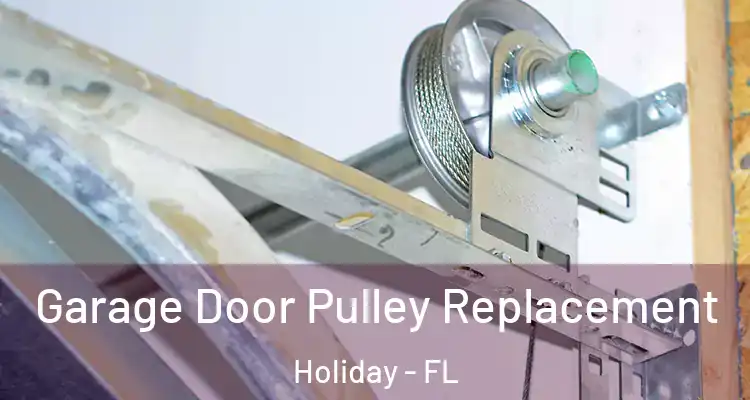 Garage Door Pulley Replacement Holiday - FL