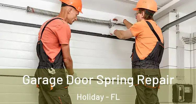 Garage Door Spring Repair Holiday - FL