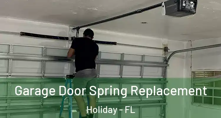Garage Door Spring Replacement Holiday - FL