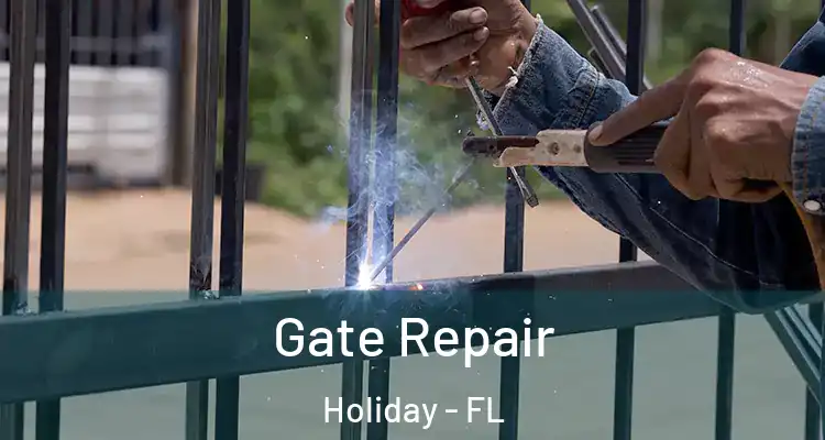 Gate Repair Holiday - FL