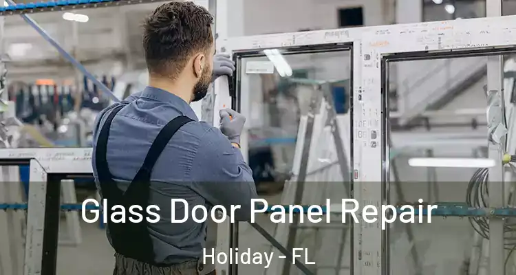 Glass Door Panel Repair Holiday - FL