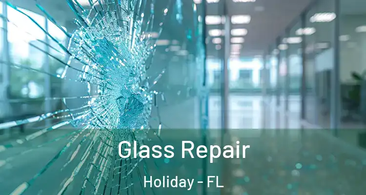 Glass Repair Holiday - FL