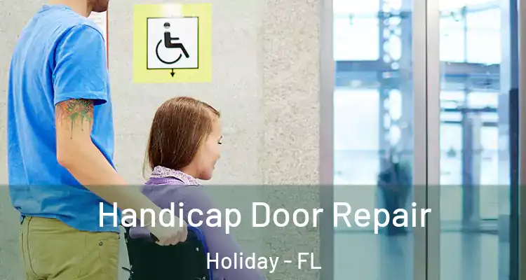 Handicap Door Repair Holiday - FL