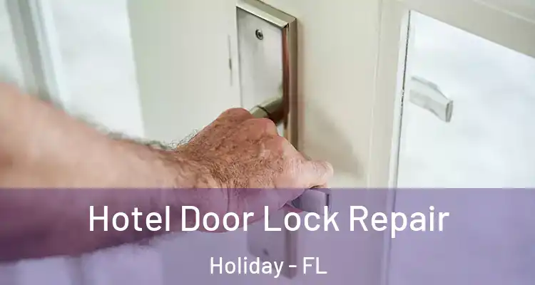 Hotel Door Lock Repair Holiday - FL