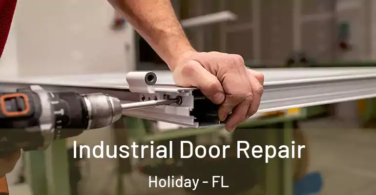 Industrial Door Repair Holiday - FL