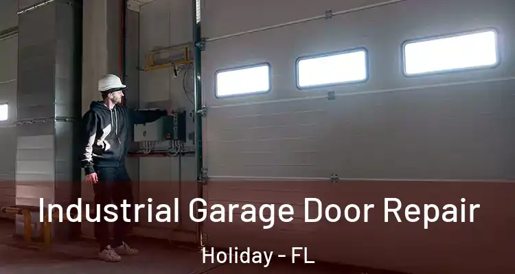 Industrial Garage Door Repair Holiday - FL