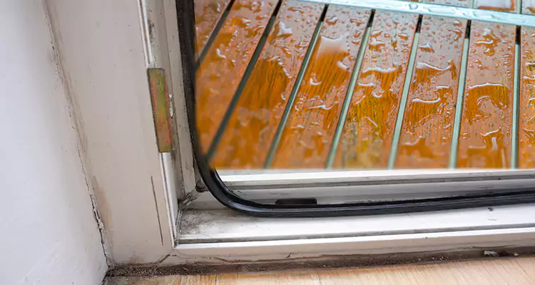 Water Leaking Wooden Patio Doors Repair in Holiday, FL