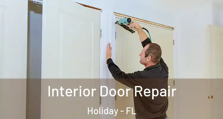 Interior Door Repair Holiday - FL