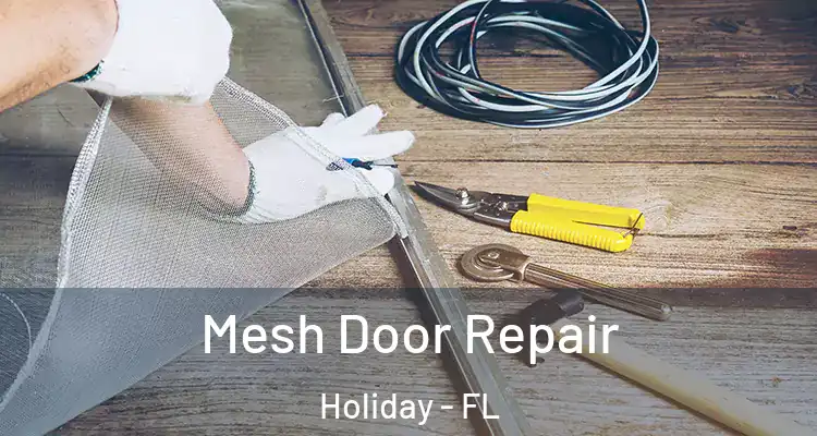 Mesh Door Repair Holiday - FL