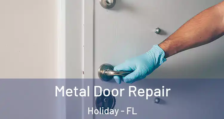 Metal Door Repair Holiday - FL