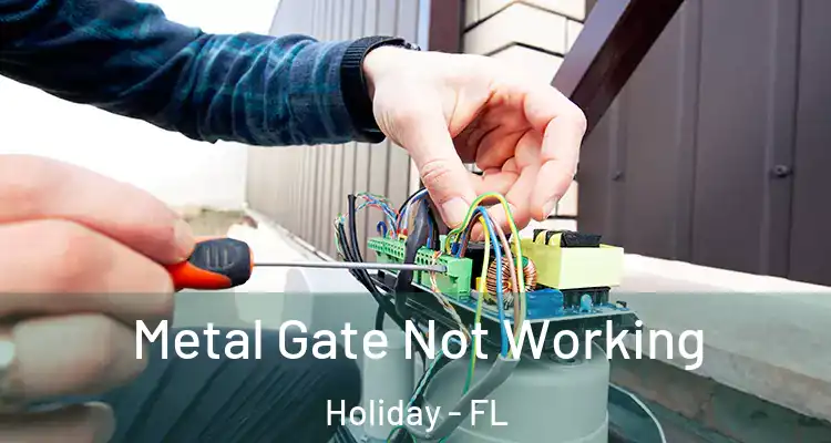 Metal Gate Not Working Holiday - FL