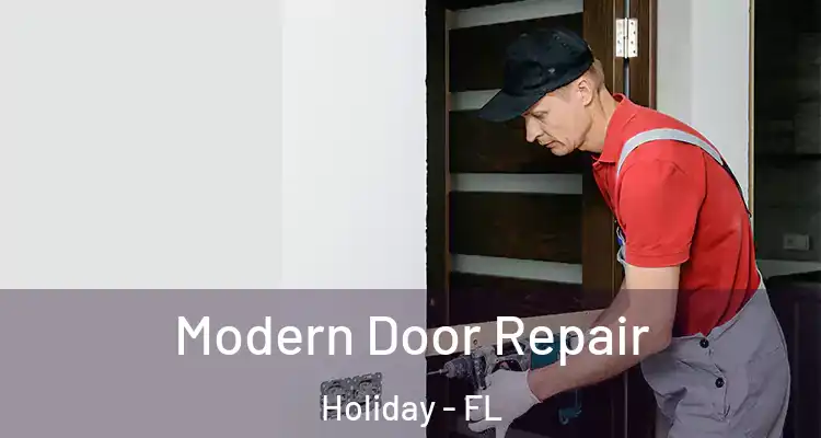 Modern Door Repair Holiday - FL