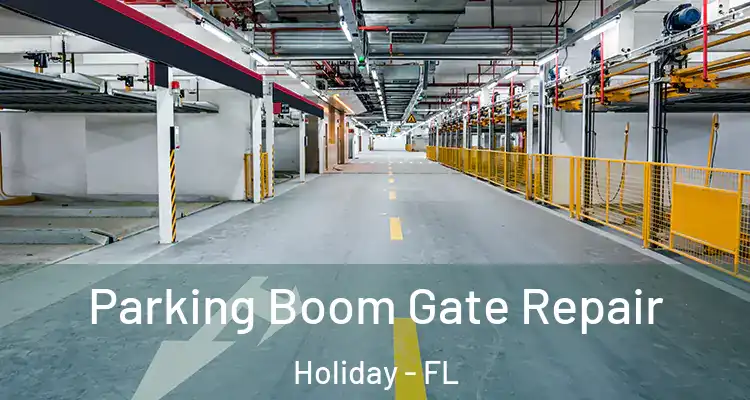 Parking Boom Gate Repair Holiday - FL