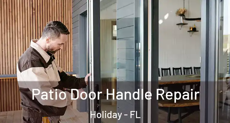 Patio Door Handle Repair Holiday - FL