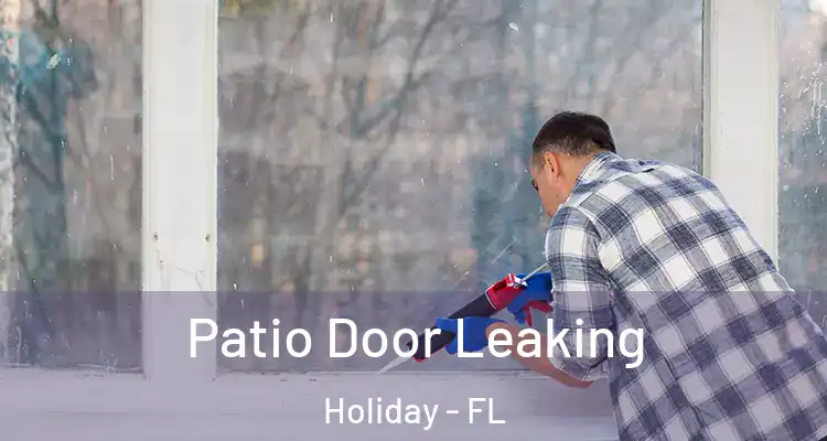 Patio Door Leaking Holiday - FL